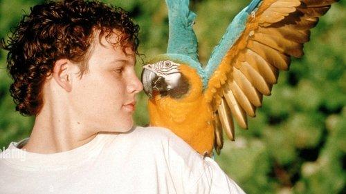 The Real Macaw filmas žiurėti online
