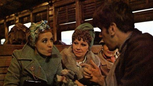 Pim, pam, pum… ¡fuego! filmas žiurėti online