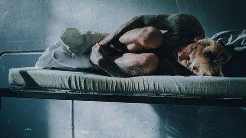 Quebonafide: Północ, Południe filmas žiurėti online