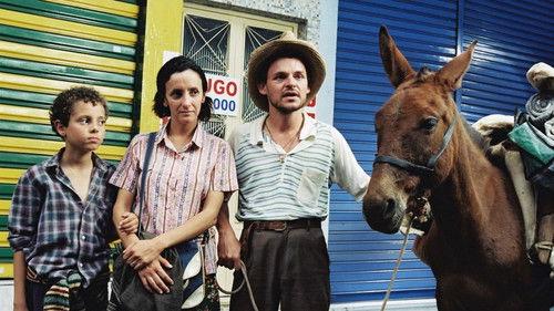 Red Carpet filmas žiurėti online