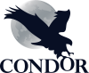 Condor studio logo