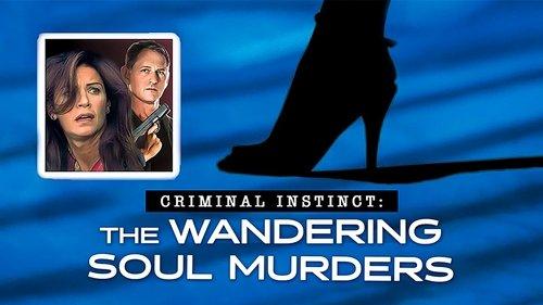 The Wandering Soul Murders filmas žiurėti online
