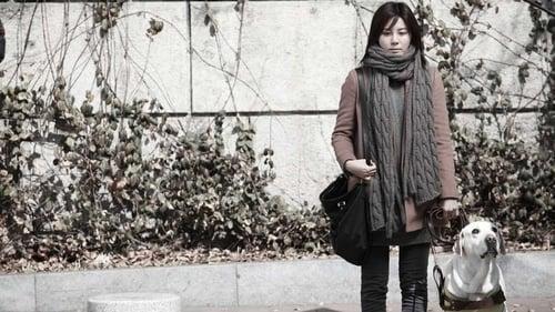 Blind filmas žiurėti online