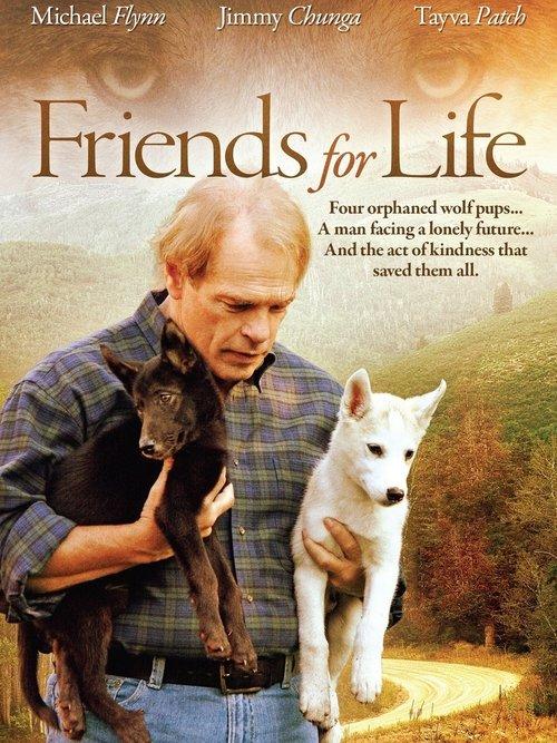 Friends for Life filmas online