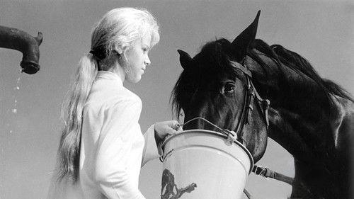 Suffering filmas žiurėti online