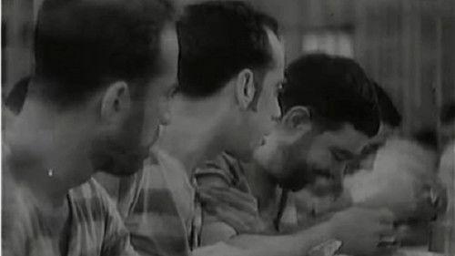 Nuestro culpable filmas žiurėti online