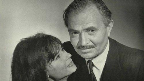 The Deadly Affair filmas žiurėti online