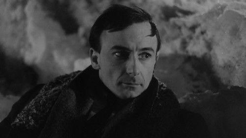 Deliver Us from Evil filmas žiurėti online