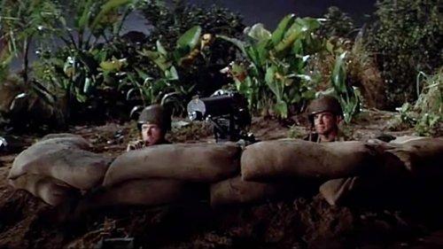 First to Fight filmas žiurėti online