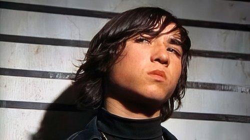 Perros callejeros filmas žiurėti online