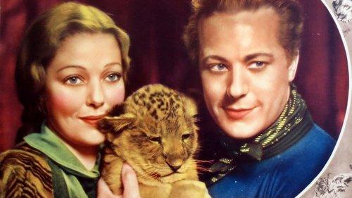 Zoo in Budapest filmas žiurėti online