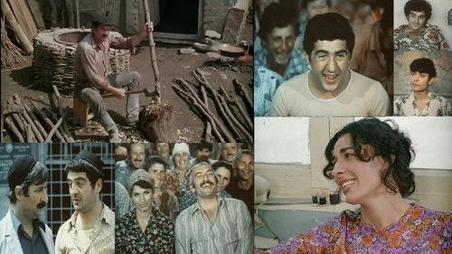 Everyone Needs Love filmas žiurėti online