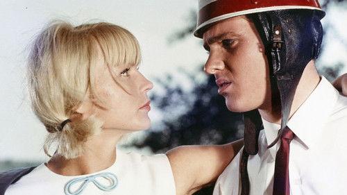 Wedding Night In The Drizzle filmas žiurėti online