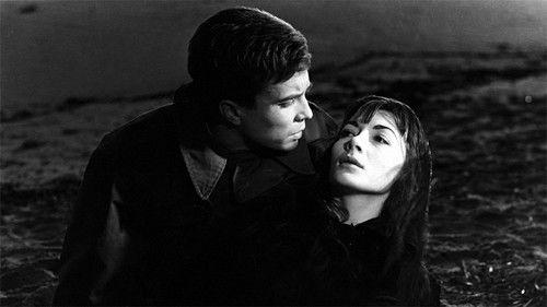 Quand tu liras cette lettre filmas žiurėti online