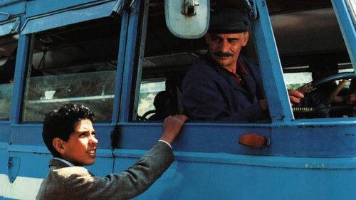 A Boy from Calabria filmas žiurėti online