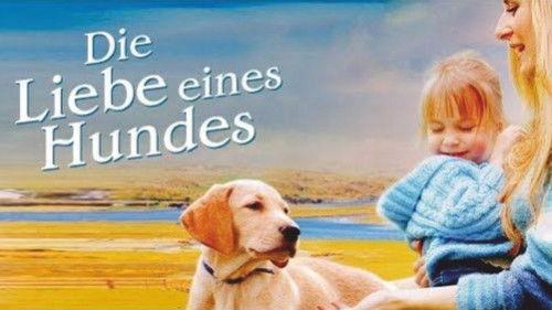 More Than Puppy Love filmas žiurėti online