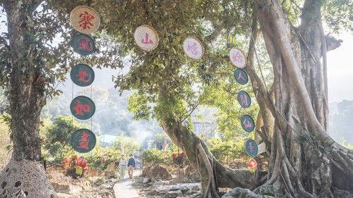 Far Far Away filmas žiurėti online