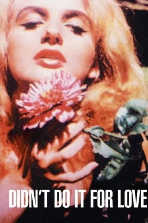 Didn't Do It For Love filmas online