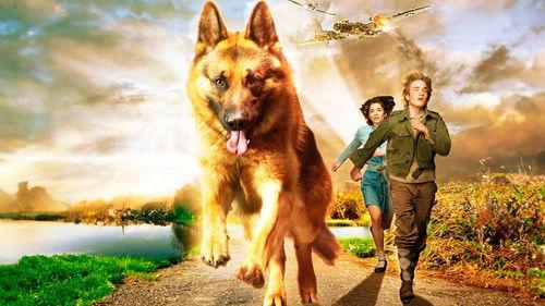 Snuf De Hond In Oorlogstijd filmas žiurėti online