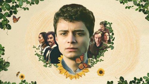 Daktaro Birdo patarimas liūdniems poetams filmas žiurėti online