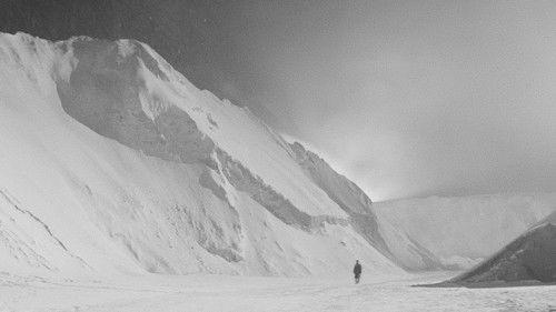 The Year Before the War filmas žiurėti online