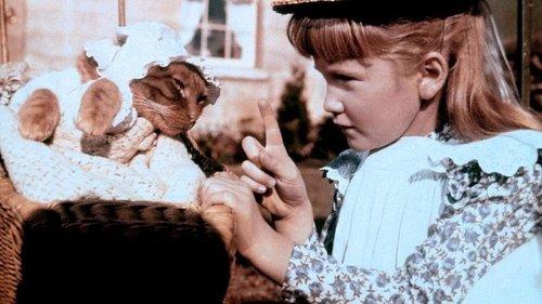 The Three Lives of Thomasina filmas žiurėti online