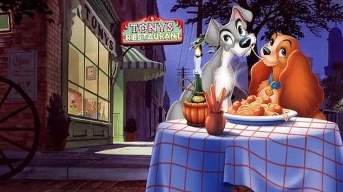 Dama ir valkata filmas žiurėti online