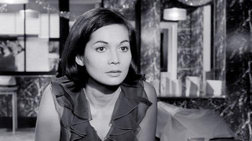 The Wild Affair filmas žiurėti online