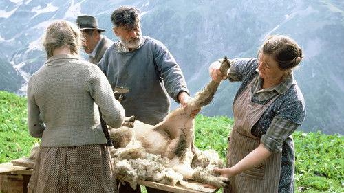 Tanner filmas žiurėti online