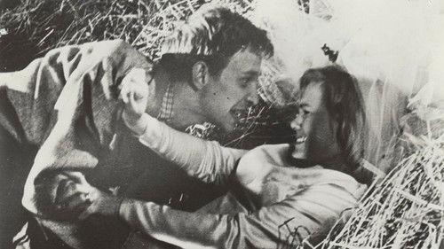 Bröllopsbesvär filmas žiurėti online