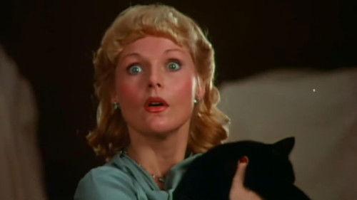 The Cat and the Canary filmas žiurėti online