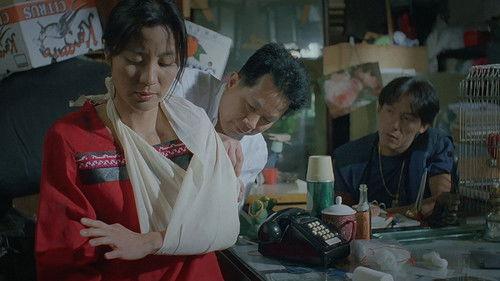 The Stunt Woman filmas žiurėti online