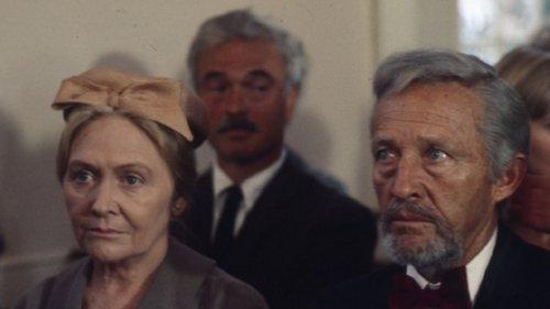 Dr. Cook's Garden filmas žiurėti online