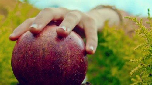 Unicórnio filmas žiurėti online