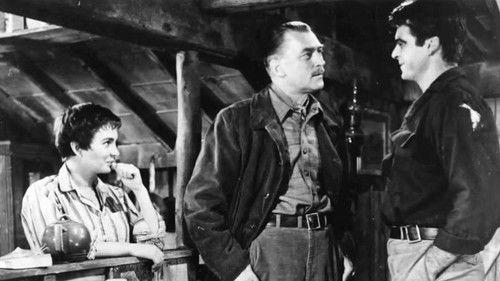 A Bullet Is Waiting filmas žiurėti online