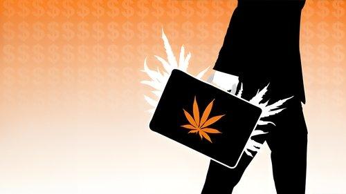 The Union: The Business Behind Getting High filmas žiurėti online