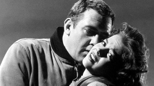 A Cry in the Night filmas žiurėti online