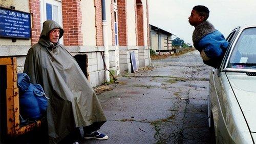 IP5: The Island of Pachyderms filmas žiurėti online