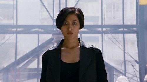 Black Cat II filmas žiurėti online