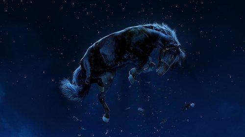 Ne filmas žiurėti online