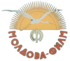 Moldova-Film studio logo