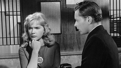 Girl of the Night filmas žiurėti online