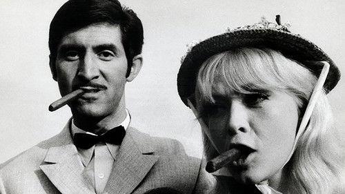 The Morning filmas žiurėti online