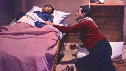 Bravissimo filmas žiurėti online