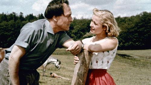 Hochzeit auf Immenhof filmas žiurėti online