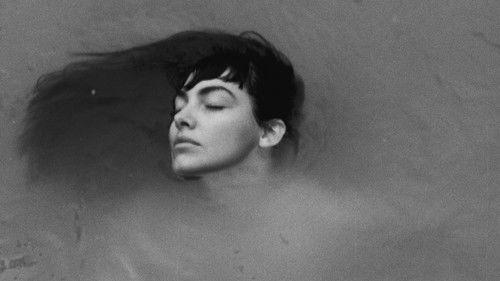 Treasure of the Bitch Islands filmas žiurėti online