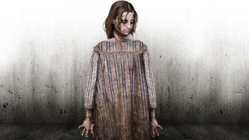 Ghosthunters filmas žiurėti online