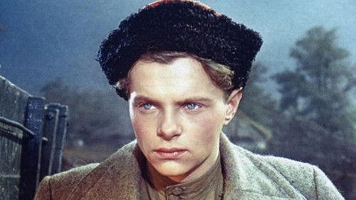 Courage School filmas žiurėti online