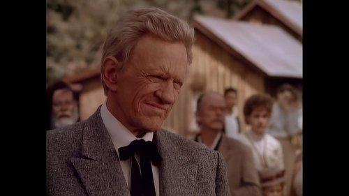 Gunsmoke: The Long Ride filmas žiurėti online