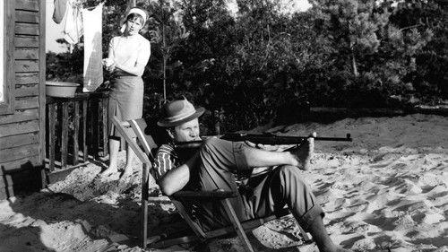 The Rabbit Is Me filmas žiurėti online